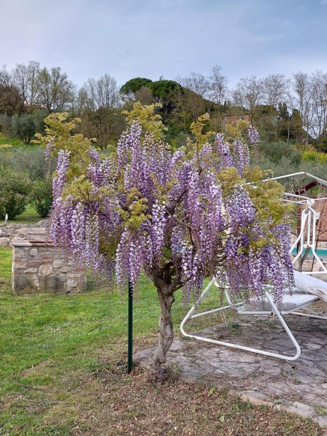 Agriturismo Camera Rosa Todi Extérieur photo